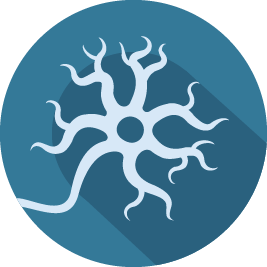 Neuron