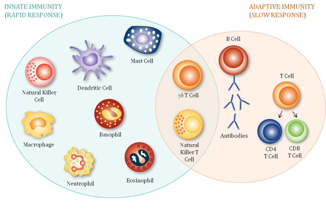 Flow Cytometry