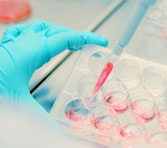 Cell culture capabilities