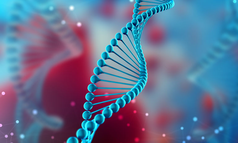 Oligonucleotides