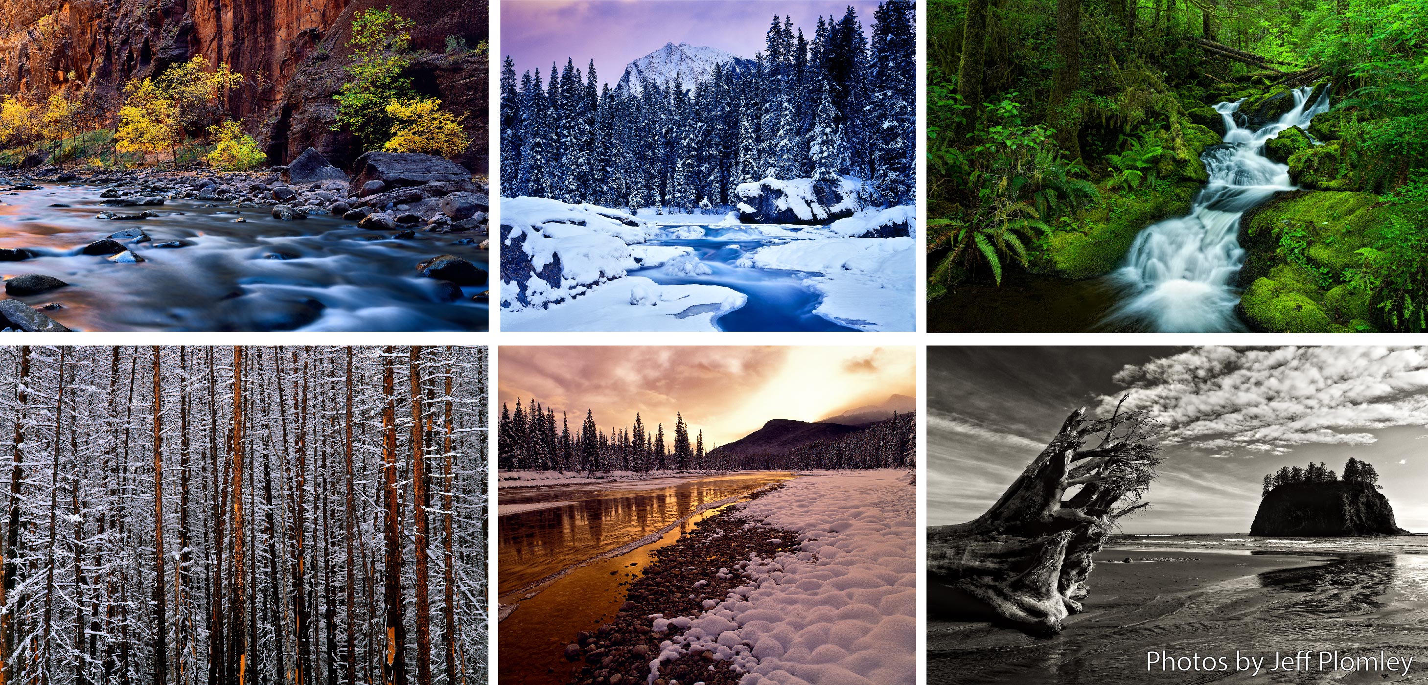 A collage of photos from U.S. and Canadian national parks