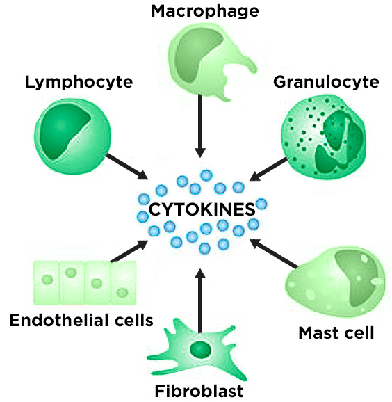 Diagram illustrating cytokine signaling between immune and non-immune cells.