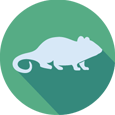 Mouse Icon for Acceleration Platform Nonclinical