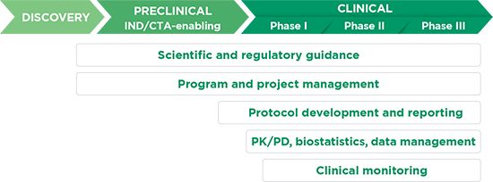 Stages of Drug Development