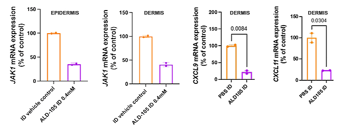 Long-Lasting Efficacy Following a Single ID Injection in Göttingen Minipigs®