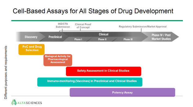 Cell-based assays for all stages of drug development