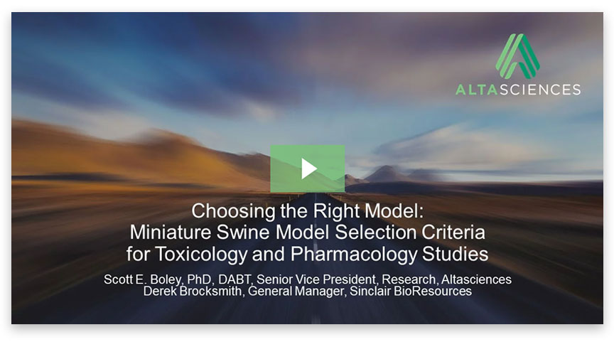 WEBINAR - Choosing the Right Model: Miniature Swine Model Selection Criteria  for Toxicology and Pharmacology Studies