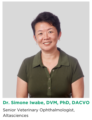 Dr. Simone Iwabe, DVM, PhD, DACVO, Senior Veterinary Ophthalmologist at Altasciences