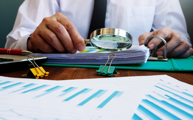 Lack of target organ toxicity data can trigger FDA clinical holds by limiting assessment of human risk