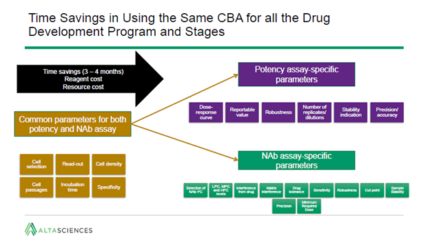 Time savings in using the same CBA for all drug development program and stages