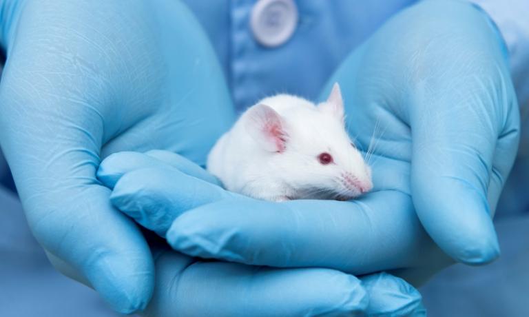 Prioritizing the Compassionate Care of Research Animals