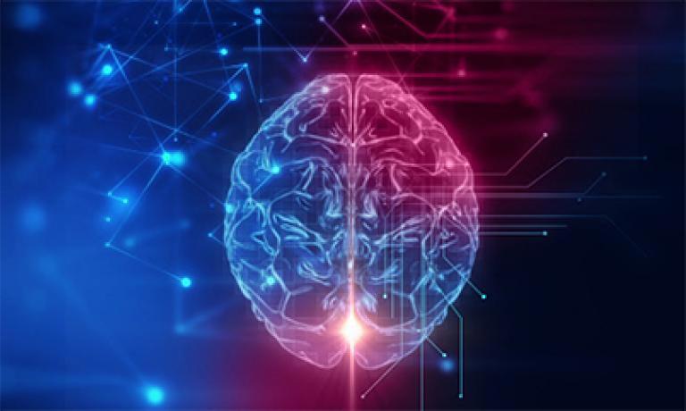 Your Scientific Resources in CNS‑Drug Development